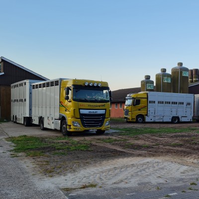 Bild - LKW auf landw. Betrieb